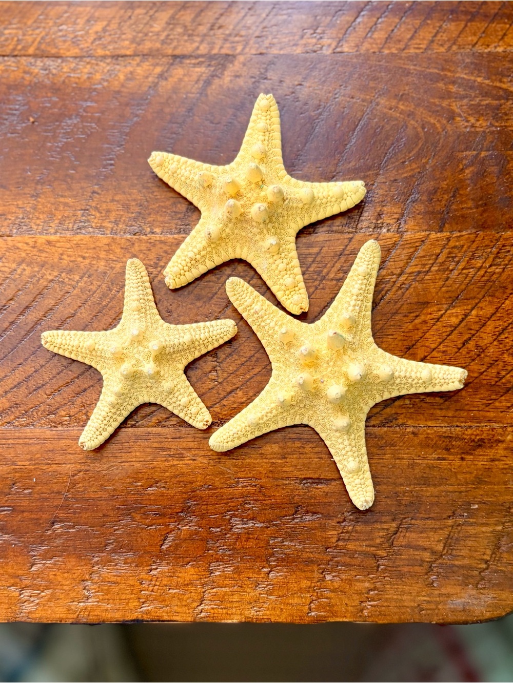 Natural Nautical Yellow Starfish Decorative Set - Coastal Home Accent Set of 3